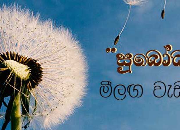 2022 යාල භාවනා වැඩසටහන - 01