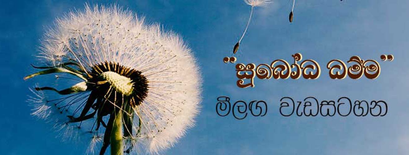 2022 ජනවාරි විශේෂ වැඩසටහන